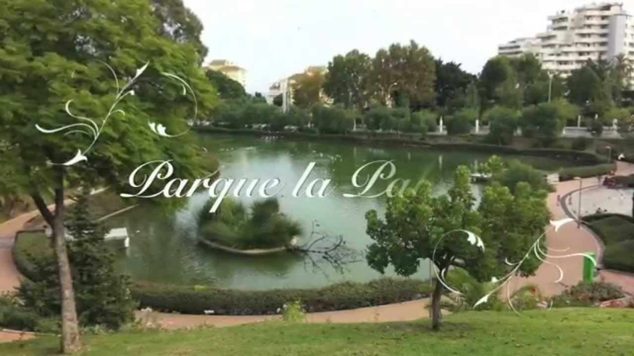 Apartamento Pepita Alay 贝纳尔马德纳 外观 照片